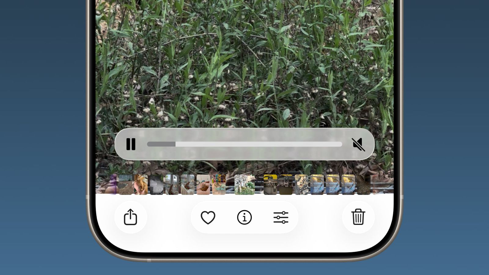 نسخه بتا iOS 26.1 و تغییر در اپ Photos