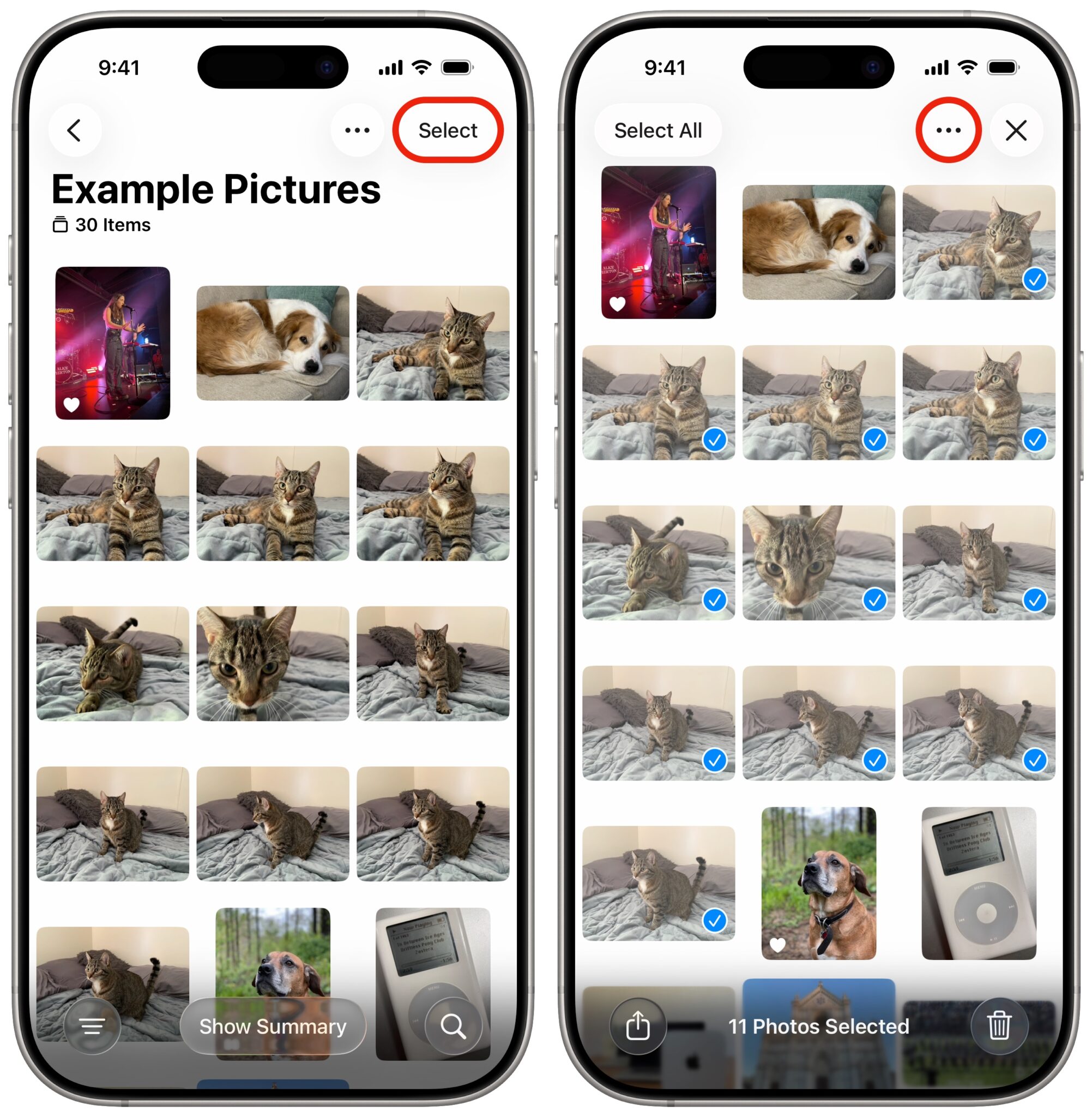 انتخاب تصاویر برای تبدیل عکس‌های لایو به ویدئو